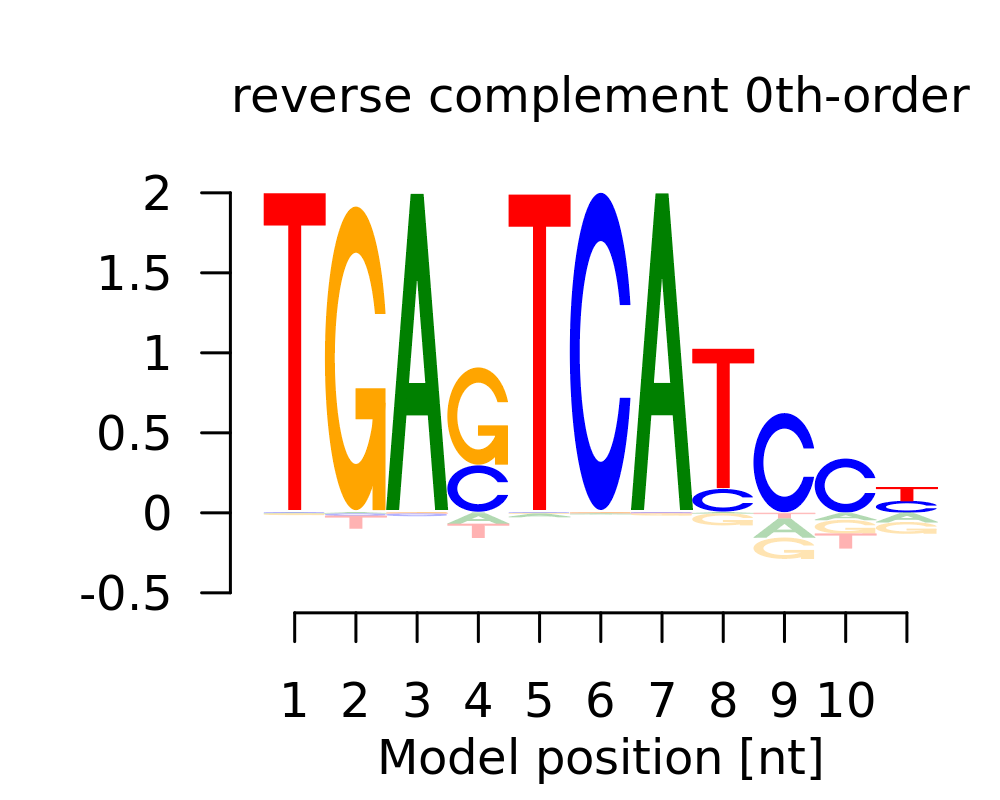 0-th order logo (reverseComplement)