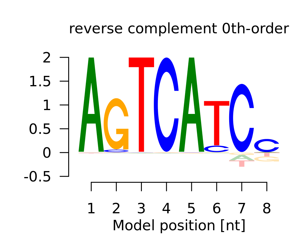 0-th order logo (reverseComplement)